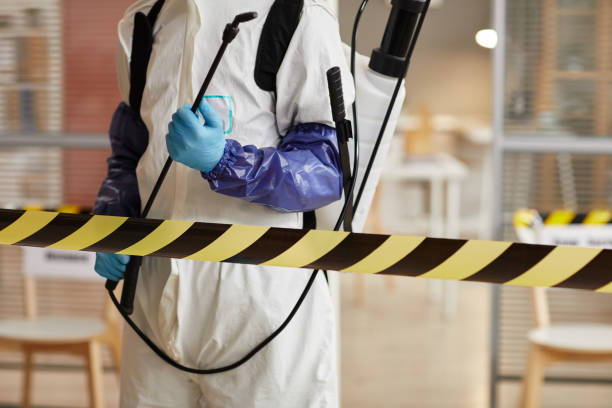 Professional Biohazard technician working in Monitor, WA